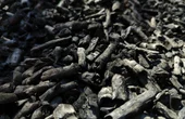 Sustainable technology to extract critical materials from coal-based resources