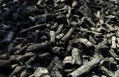 Sustainable technology to extract critical materials from coal-based resources