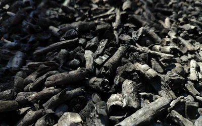 Sustainable technology to extract critical materials from coal-based resources