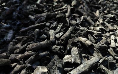 Sustainable technology to extract critical materials from coal-based resources