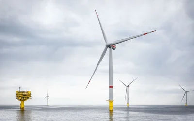 Wildlife conservation in offshore wind farms: DFKI develops autonomous underwater robot to monitor marine biodiversity