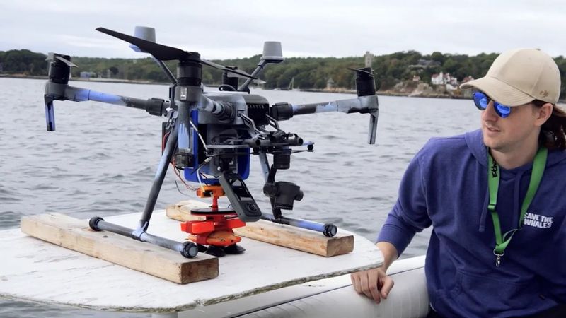 How Ocean Alliance Uses 3D Printing for Drone-Based Whale Tagging