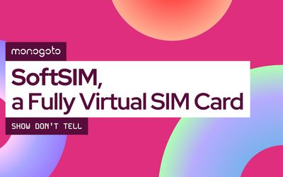 SoftSIM for Nordic nRF91