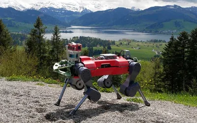 How robots learn to hike