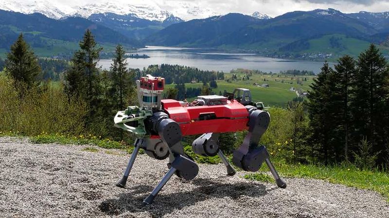 The legged robot ANYmal on the rocky path to the summit of Mount Etzel, which stands 1,098 metres above sea level. (Photo: Takahiro Miki)