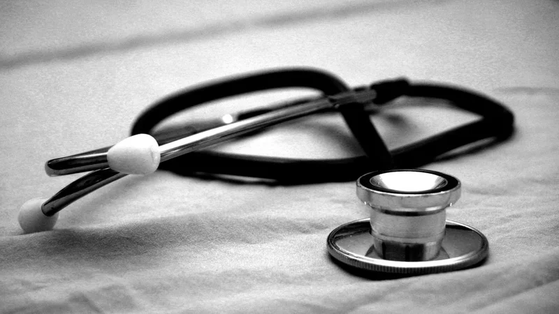 AI-Enabled Stethoscope Can Miss the Beat in Pets