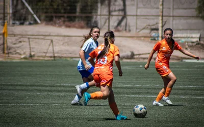 New Crisis Management Model for Professional Soccer