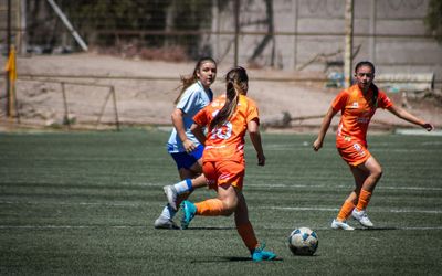 New Crisis Management Model for Professional Soccer
