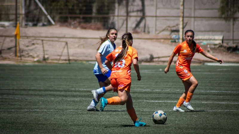New Crisis Management Model for Professional Soccer