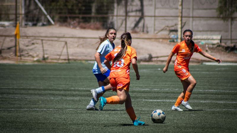 New Crisis Management Model for Professional Soccer