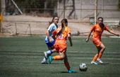New Crisis Management Model for Professional Soccer