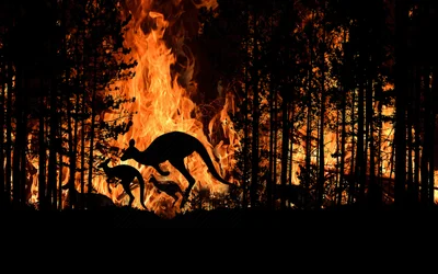 Battling blazes with the IoT