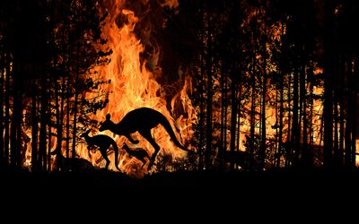 Battling blazes with the IoT