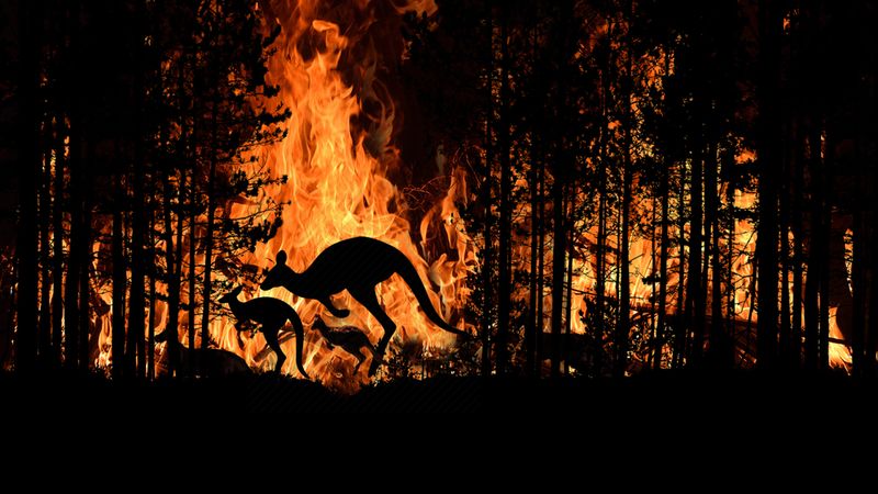 Battling blazes with the IoT