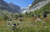 Morphing robot turns challenging terrain to its advantage