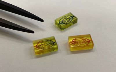 How 3D printing propels microfluidics at IMSEAM at the University of Heidelberg
