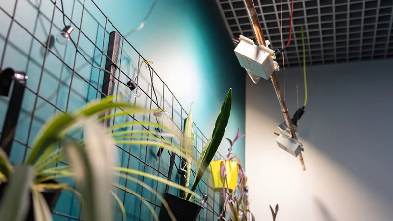 The transmitter within the wireless power transfer system. Photo by Dmitry Grigoryev / ITMO NEWS