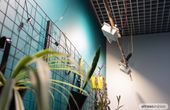 First Russian Wireless Charging Technology for IoT and Smart Homes Developed at ITMO
