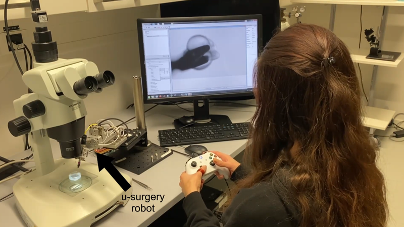 A robotic microsurgeon reveals how embryos grow