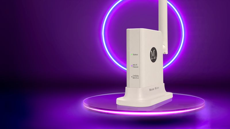 Meeting IoT Connectivity Challenges with HaLowLink 2