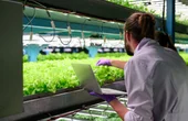 Integrated Photonics for AgriFood: A Roadmap for Sustainable Transformation