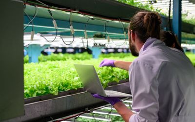 Integrated Photonics for AgriFood: A Roadmap for Sustainable Transformation
