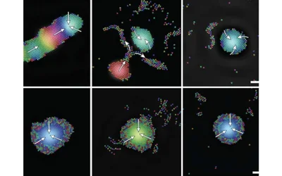 Tiny robots use sound to self-organize into intelligent groups