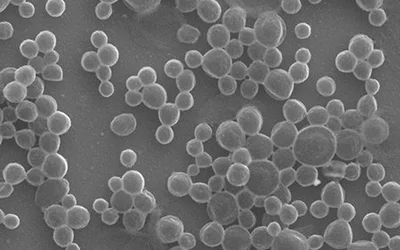 Bubble Bots: Simple Biocompatible Microrobots Autonomously Target Tumors