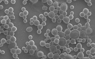Bubble Bots: Simple Biocompatible Microrobots Autonomously Target Tumors