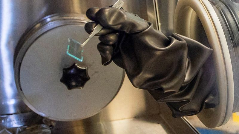 Photosynthesis copycat may improve solar cells