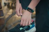 Podcast: Wearable Tech for Owners and Pets