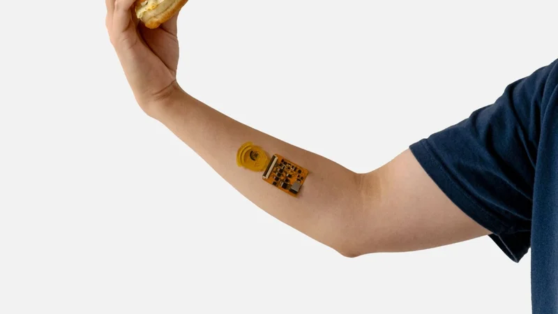 Sweat Sensor Enables Continuous Noninvasive Measurement of Cholesterol