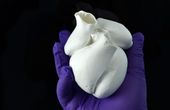 Podcast: Printing Functional Hearts & Reverse Engineering Microbes