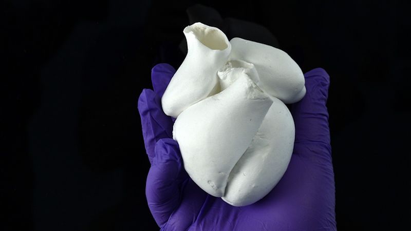 Podcast: Printing Functional Hearts & Reverse Engineering Microbes