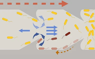 Aided by AI, New Catheter Design Prevents Bacterial Infections