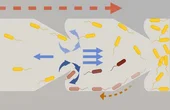 Aided by AI, New Catheter Design Prevents Bacterial Infections