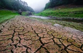Tech for the Planet: IoT Innovations in Environmental Monitoring and Disaster Management