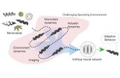 Bio-inspired deep reinforcement learning teaches these smart magnetic microbots to swim