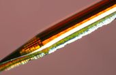Columbia Engineers Develop Implantable Imaging Tool to Reveal Deep-Brain Neural Circuits