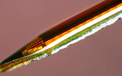 Columbia Engineers Develop Implantable Imaging Tool to Reveal Deep-Brain Neural Circuits