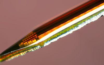 Columbia Engineers Develop Implantable Imaging Tool to Reveal Deep-Brain Neural Circuits