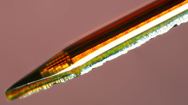 Acus is a CMOS implantable fluorescence imager to monitor neural circuits in deep regions of the brain. Credit: Bioelectronics Systems Lab at Columbia University