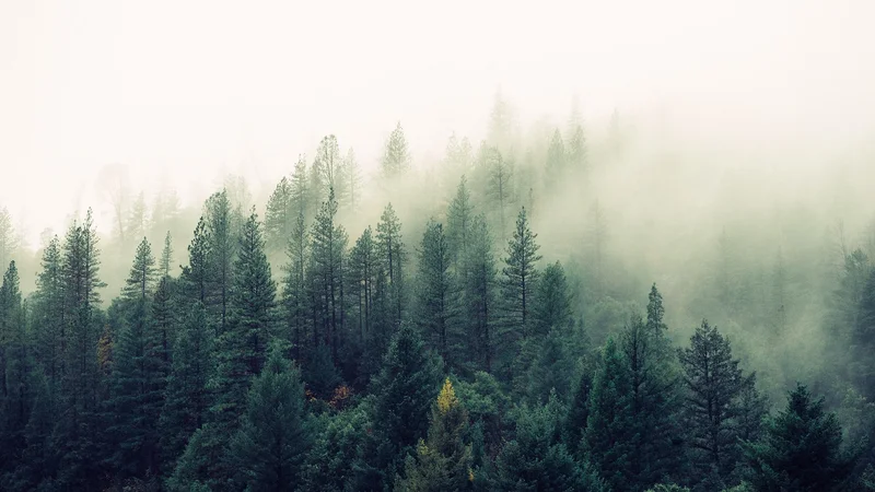 Photo by Jay Mantri on Unsplash