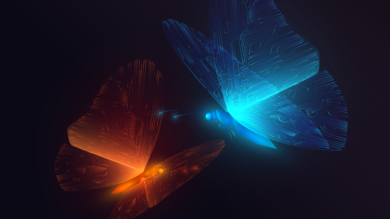 How Heliconius butterflies process two sensory inputs, pheromones and vision, at once to find a mate may inspire improved, multi-sensory artificial intelligence, according to a team of Penn State researchers. Credit: Adobe Stock image file #417010228 / lidiia. All Rights Reserved.