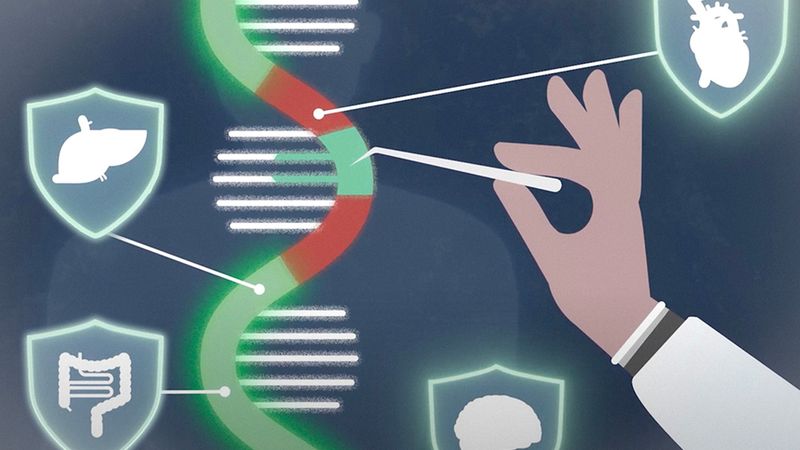 “What we did was apply machine-learning tools to help accelerate the identification of optimal ingredient mixtures in lipid nanoparticles to help target a different cell type or help incorporate different materials, much faster than previously was possible,” says Giovanni Traverso. Image: Courtesy of the researchers; MIT New