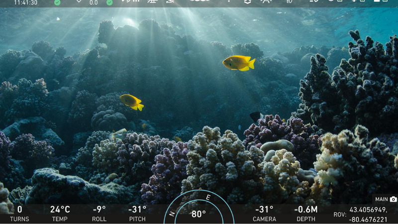 Image showing the screen of a Deep Trekker underwater ROV controller. The camera is looking at coral with fish in the background. 