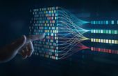 A Day in the Life of a Data Annotator: Behind Computer Vision