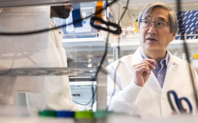 New AI approach optimizes development of antibody drugs