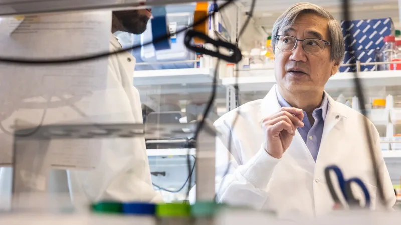 Biochemistry Professor Peter S. Kim co-led research on a new machine learning-based method for designing antibody drugs. The method was shown to improve a once FDA-approved SARS-CoV-2 antibody that had been discontinued due to ineffectiveness. | Steve Fisch