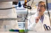 New AI approach optimizes development of antibody drugs